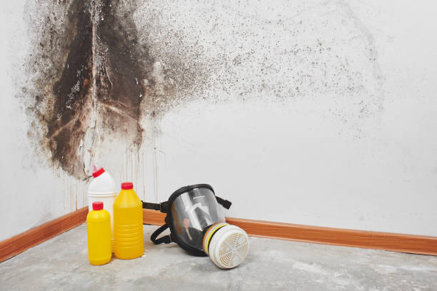 Best Bathroom Mold Remediation in Manawa, WI