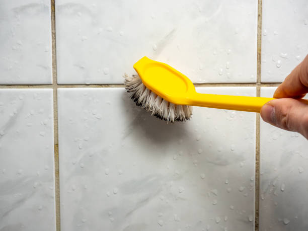 Best Basement Mold Remediation in Manawa, WI