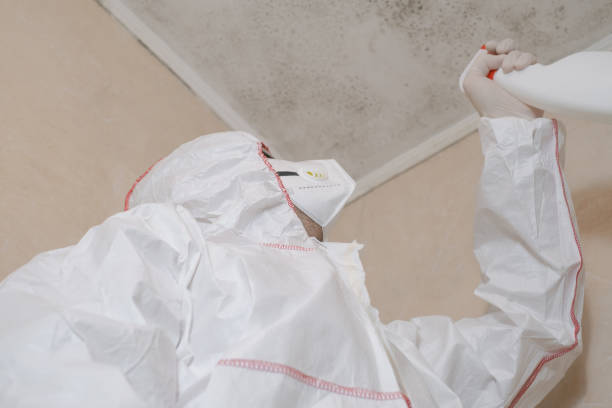 Best Basement Mold Remediation in Manawa, WI