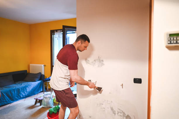Reliable Manawa, WI Mold Remediation Solutions